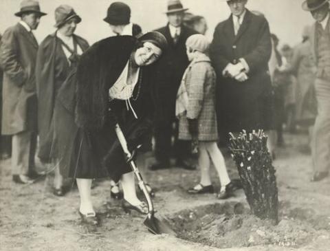 Kathleen Hagarty (née Butler) tree planting on northern approach to Sydney Harbour Bridge