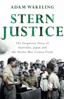 Stern Justice cover