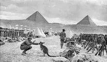 Australian 9th and 10th in Egypt